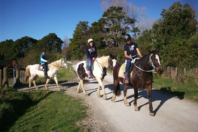 Matakana Art & Horse Riding Experience Private Tour From Auckland - Charlie’s Gelato and a simple local finish