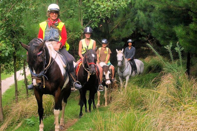 Matakana Art & Horse Riding Experience Private Tour From Auckland - Who should book this day