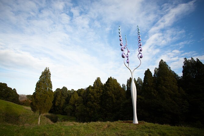 Matakana Art & Vineyard Experience incl. Lunch & Wine Tasting Tour From Auckland - Who will enjoy this day most