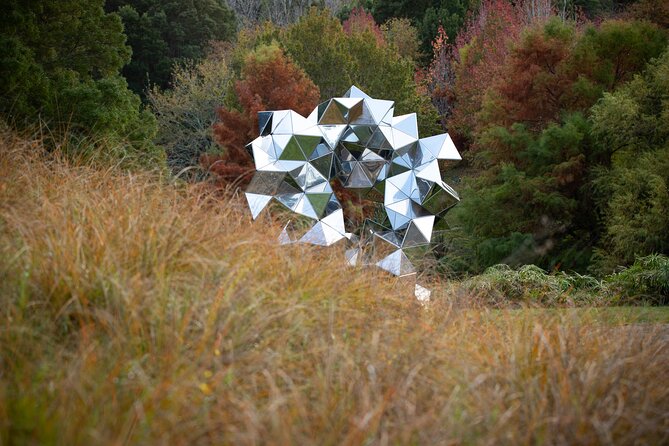 Matakana Art & Vineyard Experience incl. Lunch & Wine Tasting Tour From Auckland - Starting sweet at Chocolate Brown