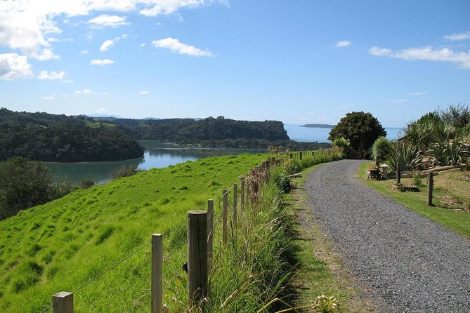 Matakana Scenic Coastal Getaway from Auckland - Key points at a glance
