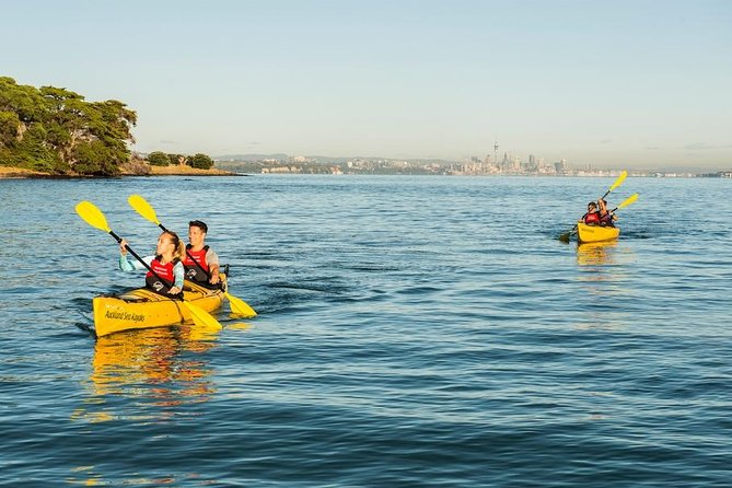 Motukorea / Browns Island Sea Kayak Journey - Key points to know before you book
