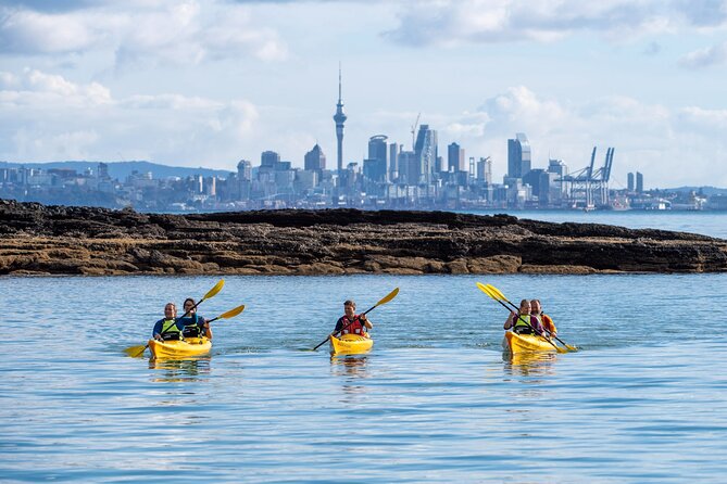 Motukorea / Browns Island Sea Kayak Journey - Morning tea on Motukorea