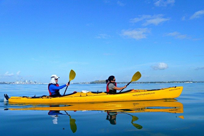 Motukorea / Browns Island Sea Kayak Journey - Keeping Motukorea pest-free