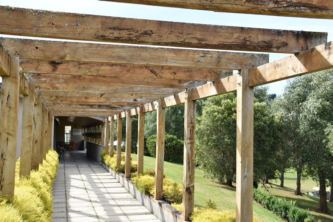 Muriwai Scenic Wine Tour from Auckland - Is $114.81 good value for four hours?