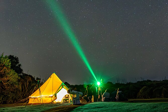 Nocturnal Wonders Tawharanui Kiwi Spotting and Stargazing Tour - Following kiwi clues through the native bush