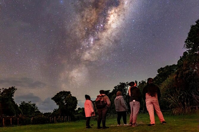 Nocturnal Wonders Tawharanui Kiwi Spotting and Stargazing Tour - Is $93.09 a fair price?