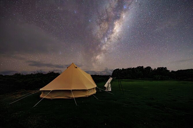 Nocturnal Wonders Tawharanui Kiwi Spotting and Stargazing Tour - Should you book Nocturnal Wonders?