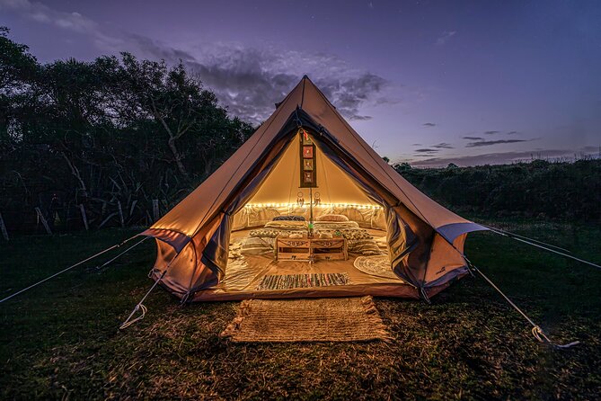 Nocturnal Wonders Tawharanui Kiwi Spotting and Stargazing Tour - From bush paths to a dark sky