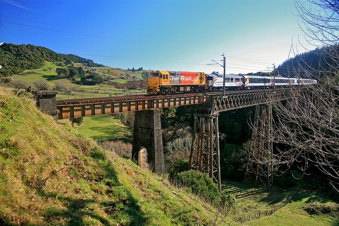Northern Explorer Train Journey from Auckland to Wellington - Key Details Before You Board