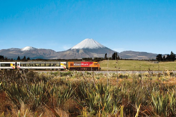 Northern Explorer Train Journey from Auckland to Wellington - Why This Train Ride Is Worth Your Day