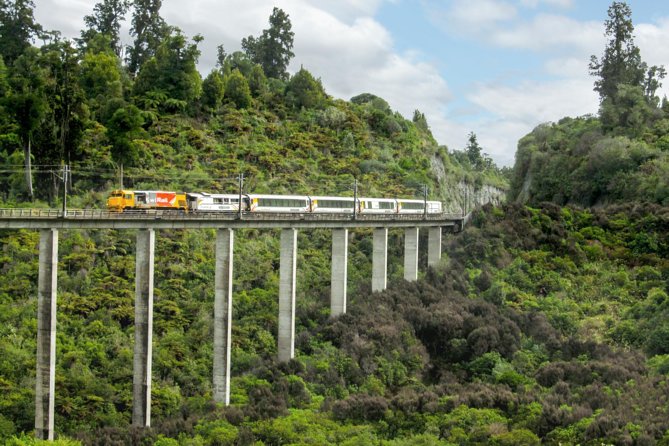 Northern Explorer Train Journey from Auckland to Wellington - Waikato Farmland and the First Hours
