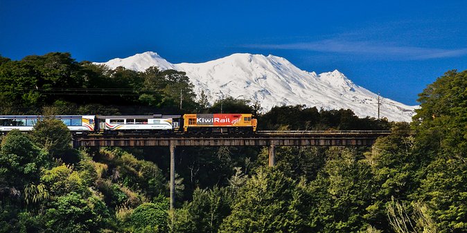 Northern Explorer Train Journey from Auckland to Wellington - Café Food, Wi-Fi, and Onboard Comfort