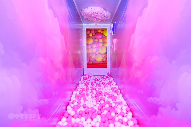 Odyssey Sensory Maze Entry Auckland Ticket - Sensory Needs and Safety Before You Enter