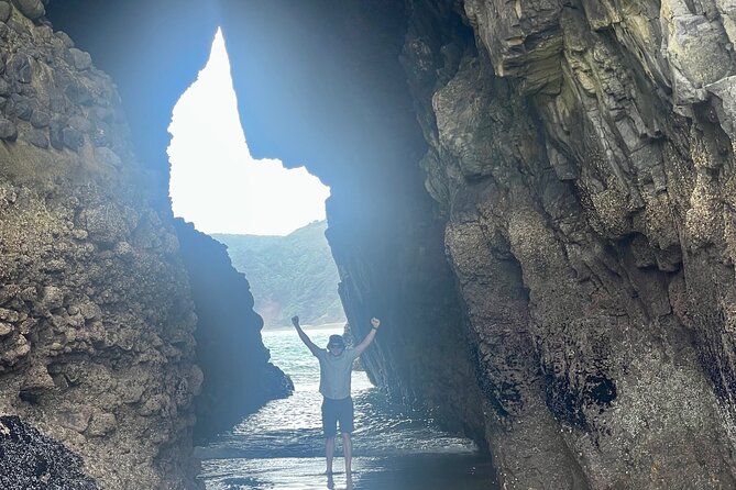 Piha Beach - Walking through native rainforest to Kitekite Falls
