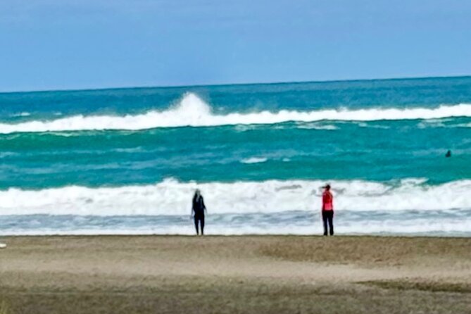 Piha Beach - How much value do you get for $173.76?