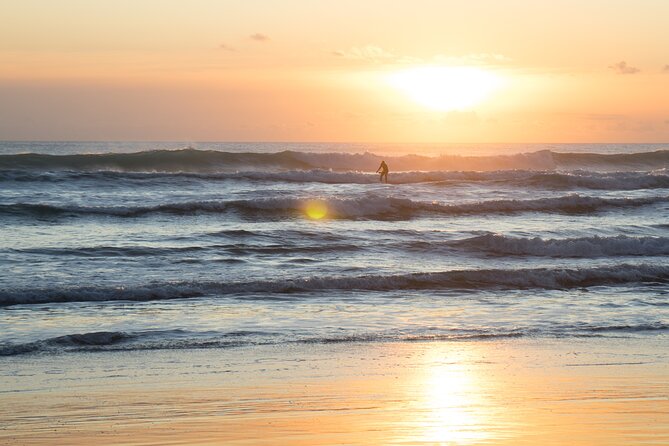 Piha Beach & Wilderness Nature : PRIVATE TOUR 8 hrs - Mission Bay slows the pace