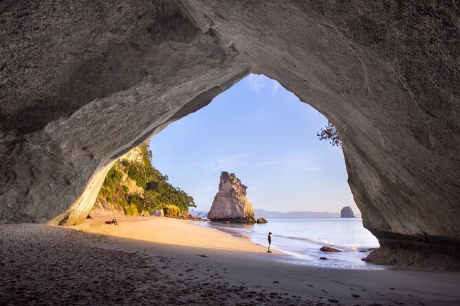Piha Beach & Wilderness Nature : PRIVATE TOUR 8 hrs - The road to Piha changes the scenery