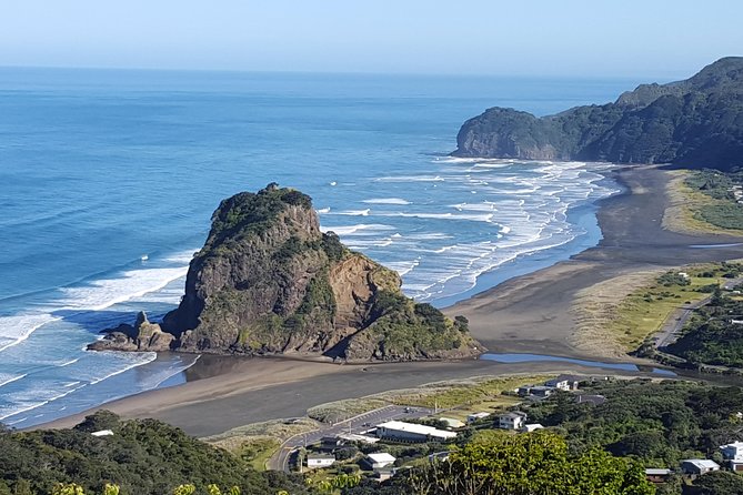 Piha Beach & Wilderness Nature : PRIVATE TOUR 8 hrs - Optional Arataki and Karekare stops