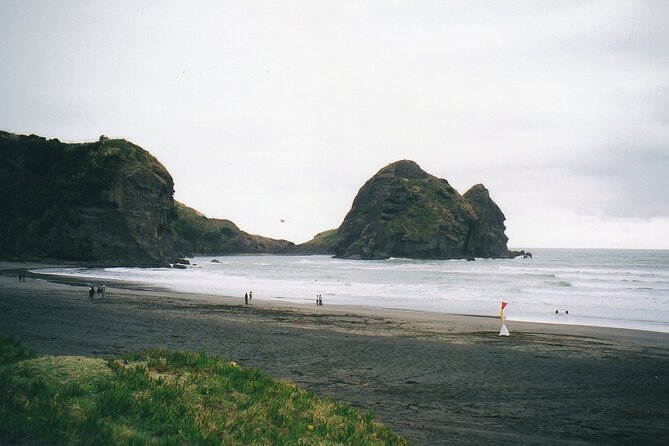 Piha Beach & Wilderness Nature : PRIVATE TOUR 8 hrs - A private vehicle changes the feel of the day