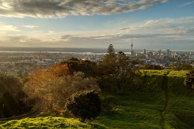 Piha Beach & Wilderness Nature : PRIVATE TOUR 8 hrs - Mount Eden adds Auckland from above