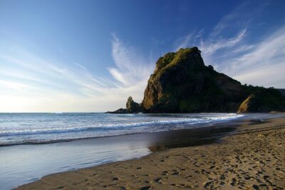 Piha Waitakere Rainforest Wine Tour from Auckland