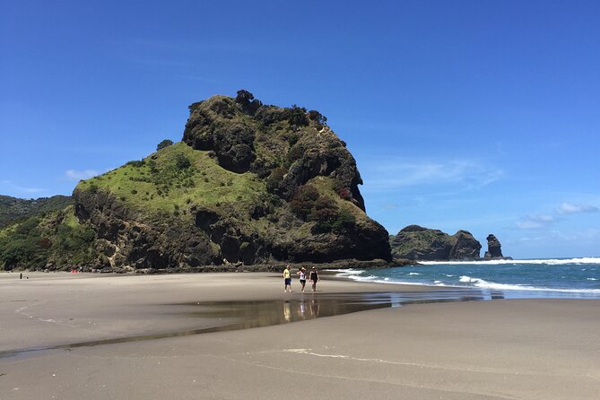 Piha Waitakere Rainforest Wine Tour from Auckland - Who should book this Piha wine tour