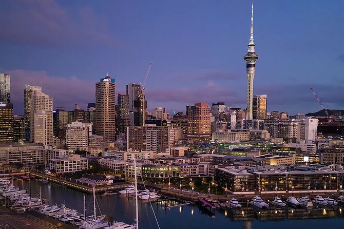 Private Auckland Airport Transfer to/from Auckland Hotels -SUV - One-way or round-trip booking