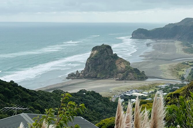Private Auckland best Spots + Piha beach and rainforest day Tour - Key points to know before you book