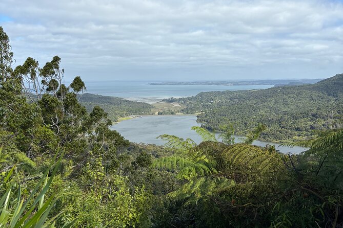 Private Auckland best Spots + Piha beach and rainforest day Tour - Westhaven Marina and Auckland’s seafaring side