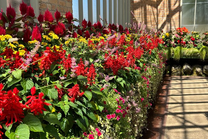 Private Auckland best Spots + Piha beach and rainforest day Tour - Auckland Domain’s Wintergardens