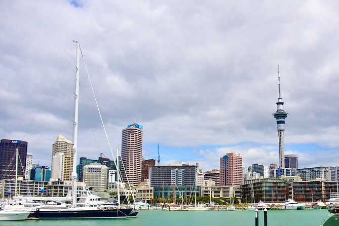 Private Auckland best Spots + Piha beach and rainforest day Tour - Mount Eden: Auckland’s best city viewpoint