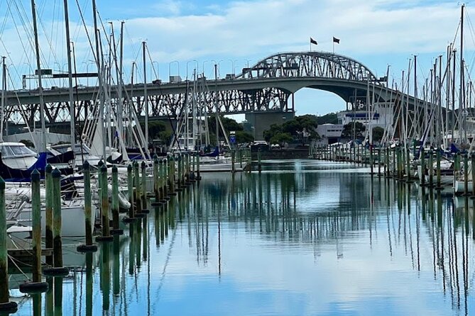 Private Auckland Best Top 5 Spots Half day Tour - What the private guide adds