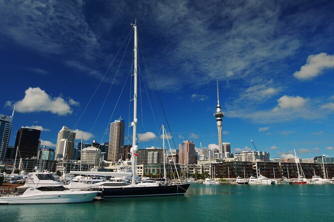 Private Auckland City Highlights Tour - Key points to know before booking