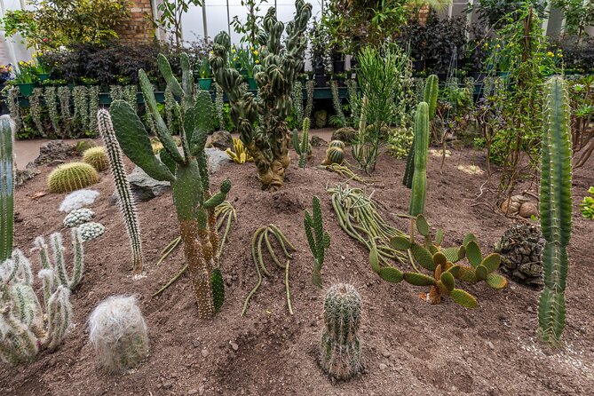 Private Auckland City Highlights Tour - The Auckland Domain and its Winter Gardens