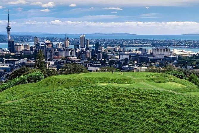 Private Auckland City Tour For Small Group in a luxury vehicle. - Bastion Point and the eastern harbor