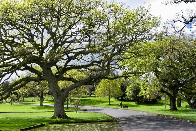 Private Auckland City Tour For Small Group in a luxury vehicle. - Tamaki Drive and Mission Bay