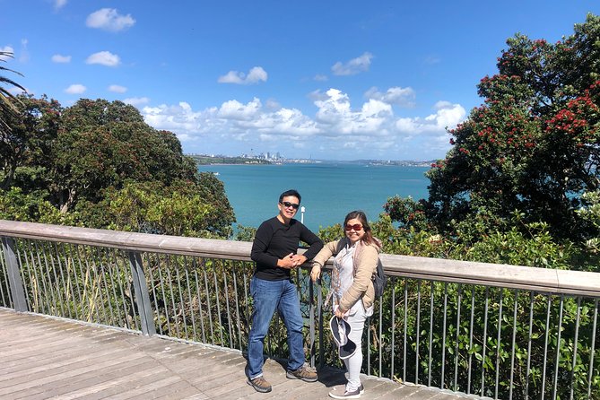Private Auckland City Tour For Small Group in a luxury vehicle. - Downtown, Westhaven, and the harbor bridge