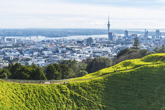 Private Auckland City Tour Including Auckland Tour House Visit - Key points at a glance