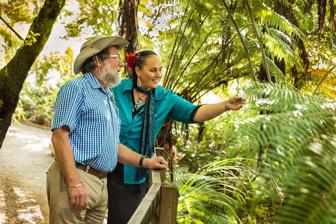 Private Auckland Half Day Tour - Devonport and the North Shore connection