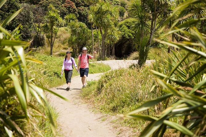 Private Auckland Luxury Tour - Arataki Visitor Centre and the protected ranges