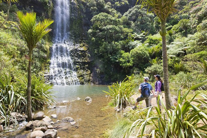 Private Auckland Luxury Tour - Titirangi and the first look at the Waitakere Ranges