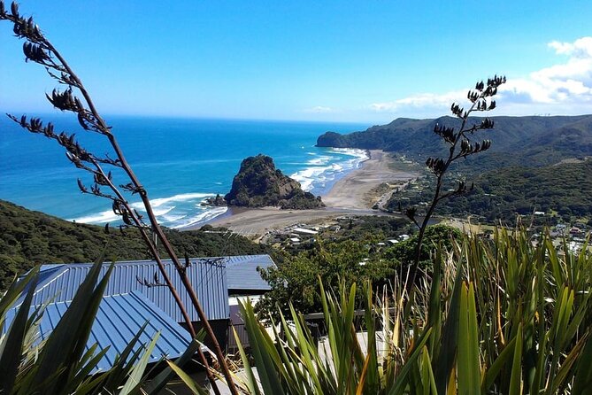 Private Auckland Sightseeing - Full Day/Half Day Hidden Gems Tour - Key points at a glance