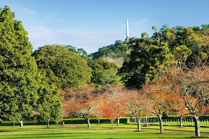 Private Auckland Sightseeing - Full Day/Half Day Hidden Gems Tour - Why a private Auckland tour can work so well
