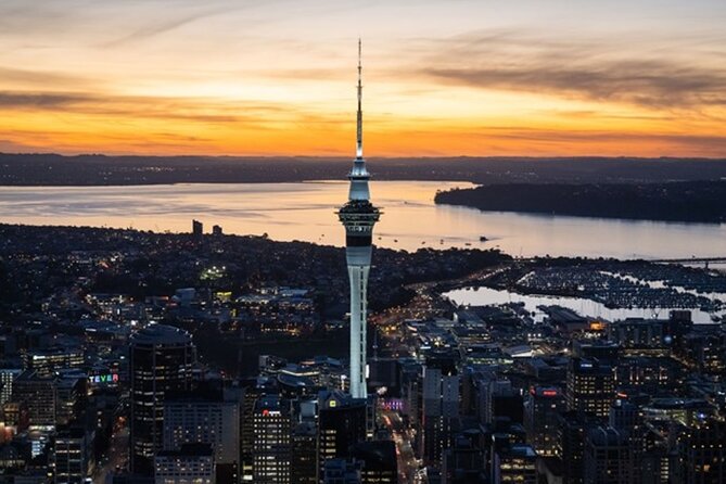 Private Auckland Sightseeing - Full Day/Half Day Hidden Gems Tour - Central Auckland for art, parks, and neighbourhood life