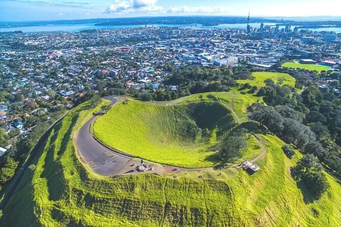 Private Auckland Sightseeing - Full Day/Half Day Hidden Gems Tour - Waitākere forest and cliff-top walking