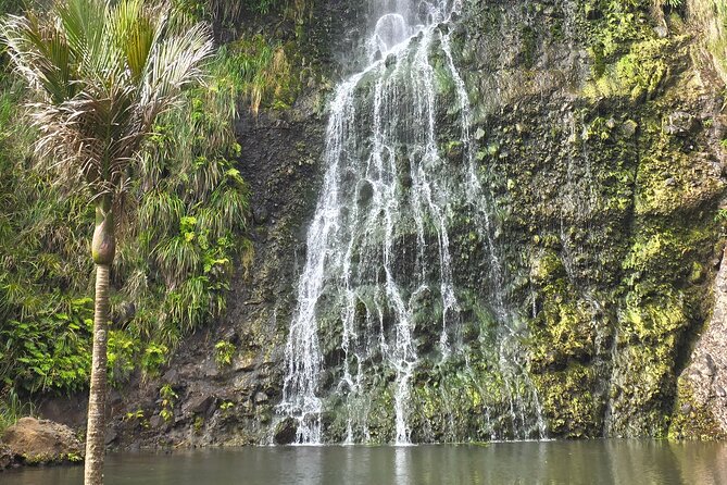 Private Auckland West Coast Tour Piha Beach and Karekare Falls - From Auckland streets to the wild west coast
