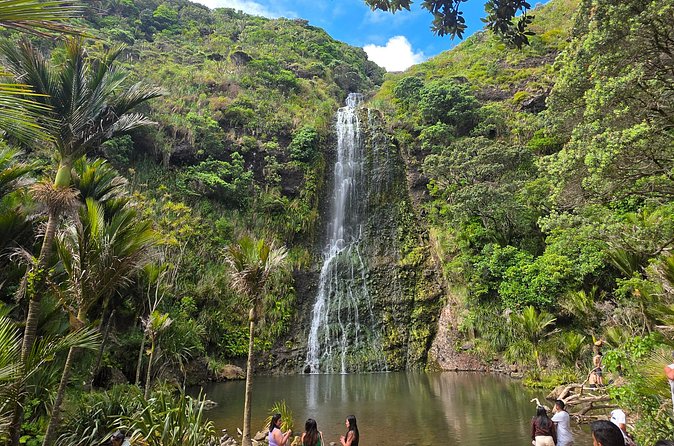 Private Auckland West Coast Tour Piha Beach and Karekare Falls - Mercer Bay Loop and the view above Piha