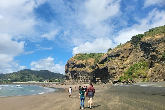 Private Auckland West Coast Tour Piha Beach and Karekare Falls - What the private format adds