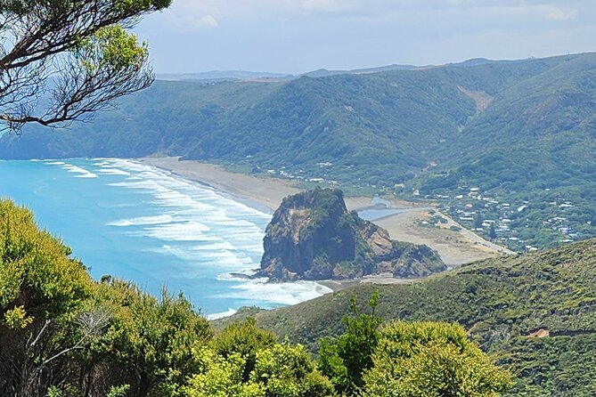 Private Auckland West Coast Tour Piha Beach and Karekare Falls - Karekare Falls and the rainforest setting
